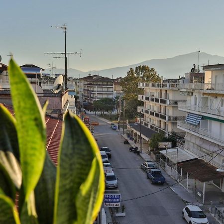 Alarzo Rooms Paralia Katerinis Bagian luar foto